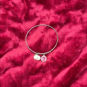 alex and ani charm bracelet!